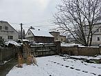 Třibřichy