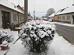Hostákov