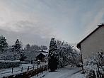 Olešná
