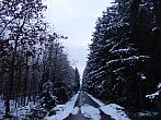 Dětenice-Brodek