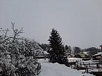 Olešná