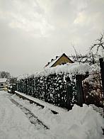 Pacov