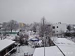 Hořice - Libonice