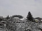 Olešná