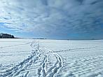 Drahany