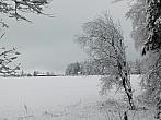 Němčice Zhoř
