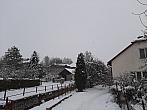 Olešná