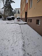 Borovina