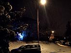 Borovina