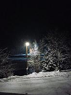Hvozdnica