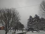 Plužná