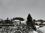 Olešná