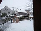 Třibřichy