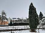 Olešná