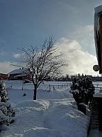 Skalité