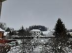 Olešná