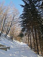 Hvozdnica