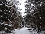 Dětenice-Brodek