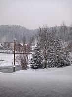 Hvozdnica