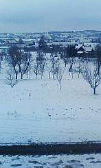 Žádovice