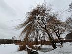 Chomutov