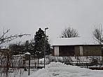 Olešná