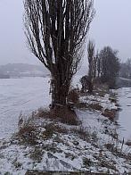Dobřany