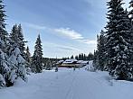 Modrava