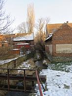 Třibřichy