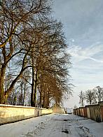 Pacov