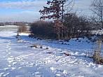 Třebíč-Borovina