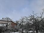 Olešná