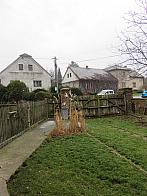 Třibřichy