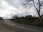 Třibřichy