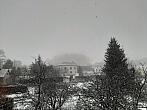 Olešná