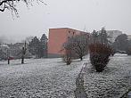 Borovina