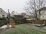 Třibřichy
