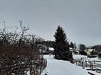 Olešná