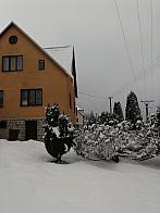 Skalité