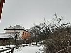 Olešná