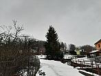 Olešná