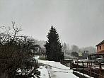 Olešná