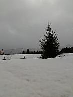 Skalité