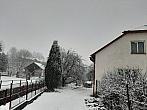 Olešná