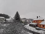 Olešná