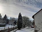Olešná