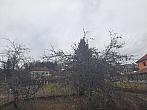 Olešná