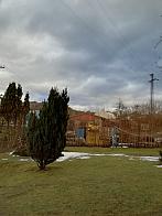 Skalité
