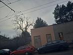 Jihlava