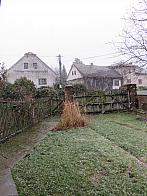 Třibřichy